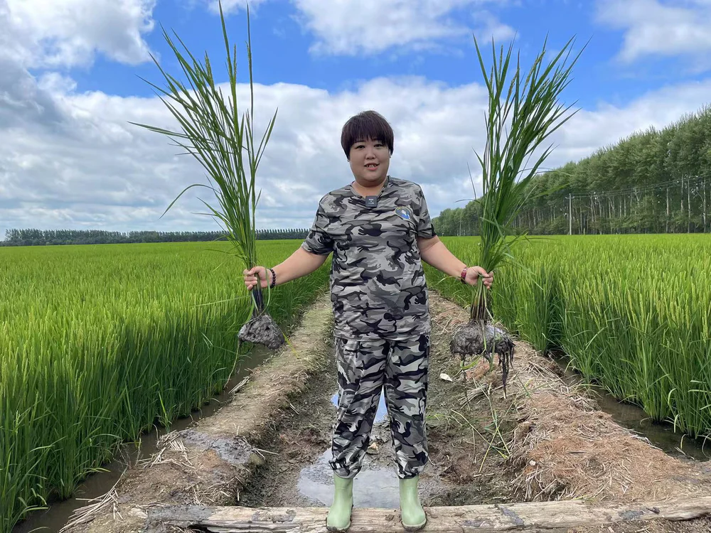 疫情下的农村改变生活方式_疫情中的农村_疫情下的村庄变化