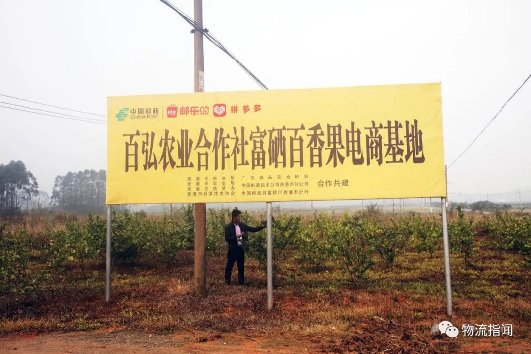 疫情前后农村的变化_疫情下的农村改变生活方式_疫情对农村生活的影响论文